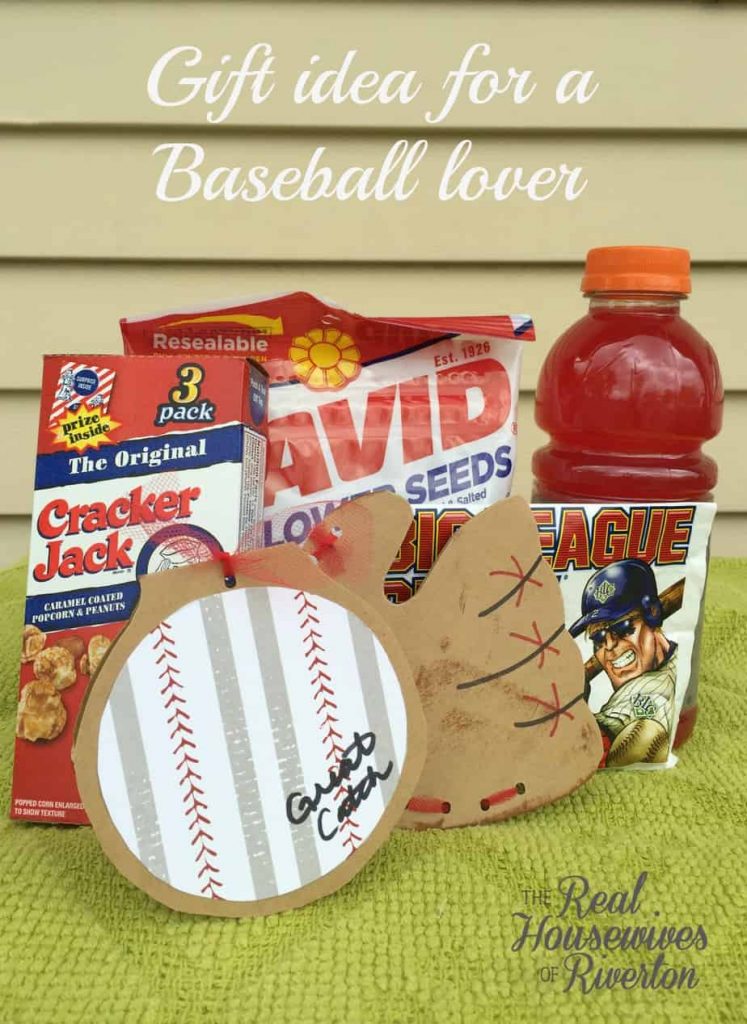 baseball lover gift idea