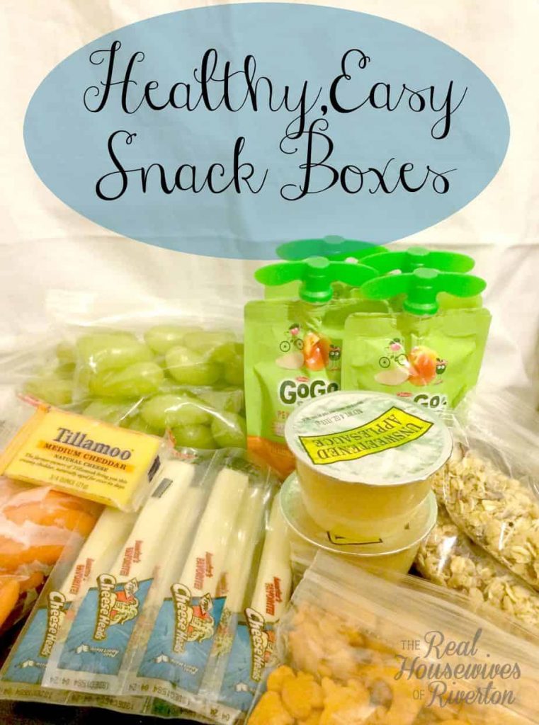 Easy Snack Boxes | www.housewivesofriverton.com