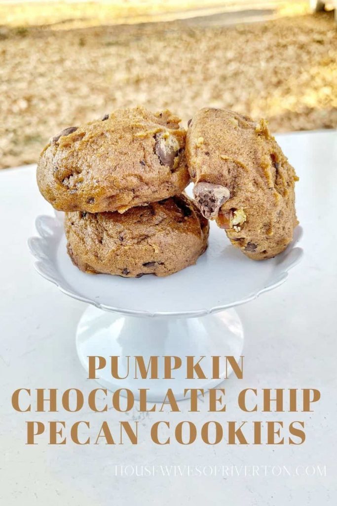 Pumpkin Chocolate Chip Pecan Cookies